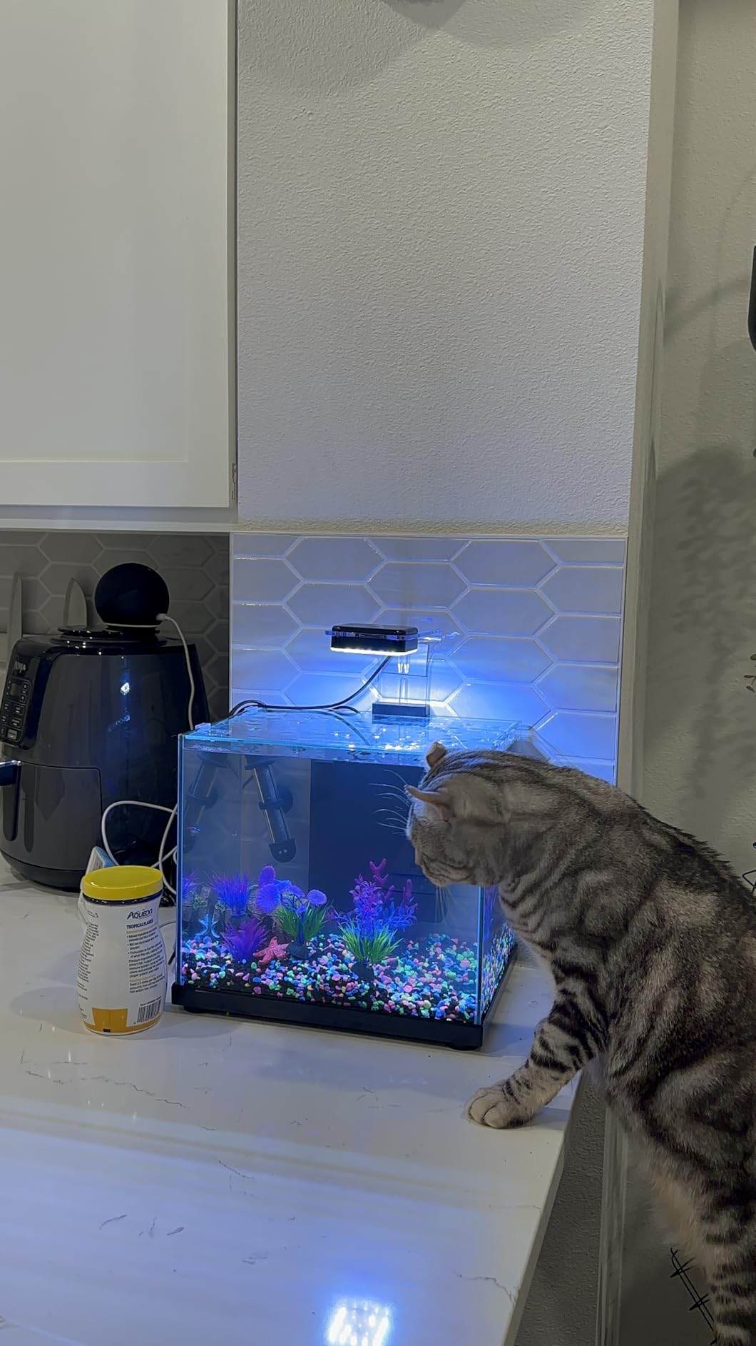 9Pcs Tank Accessories for Beta Fish,Small Fish Tank Decorations, Beta Fish Tank Starter Kit customer photo 1