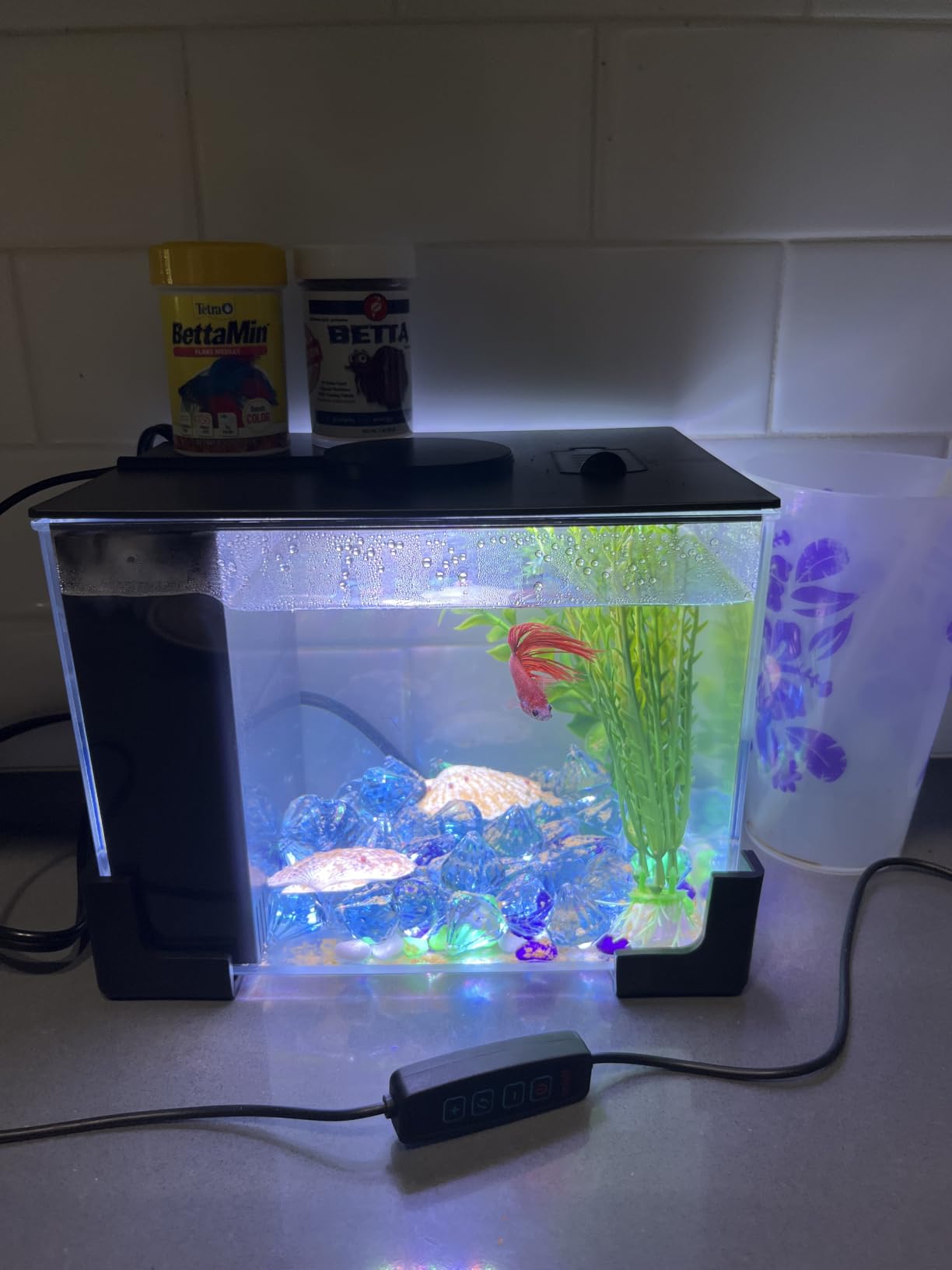 AQUANEAT Fish Tank, 1 Gallon Betta Fish Tank, Small Aquarium Kit with LED Light and Water Filter Pump customer photo 2