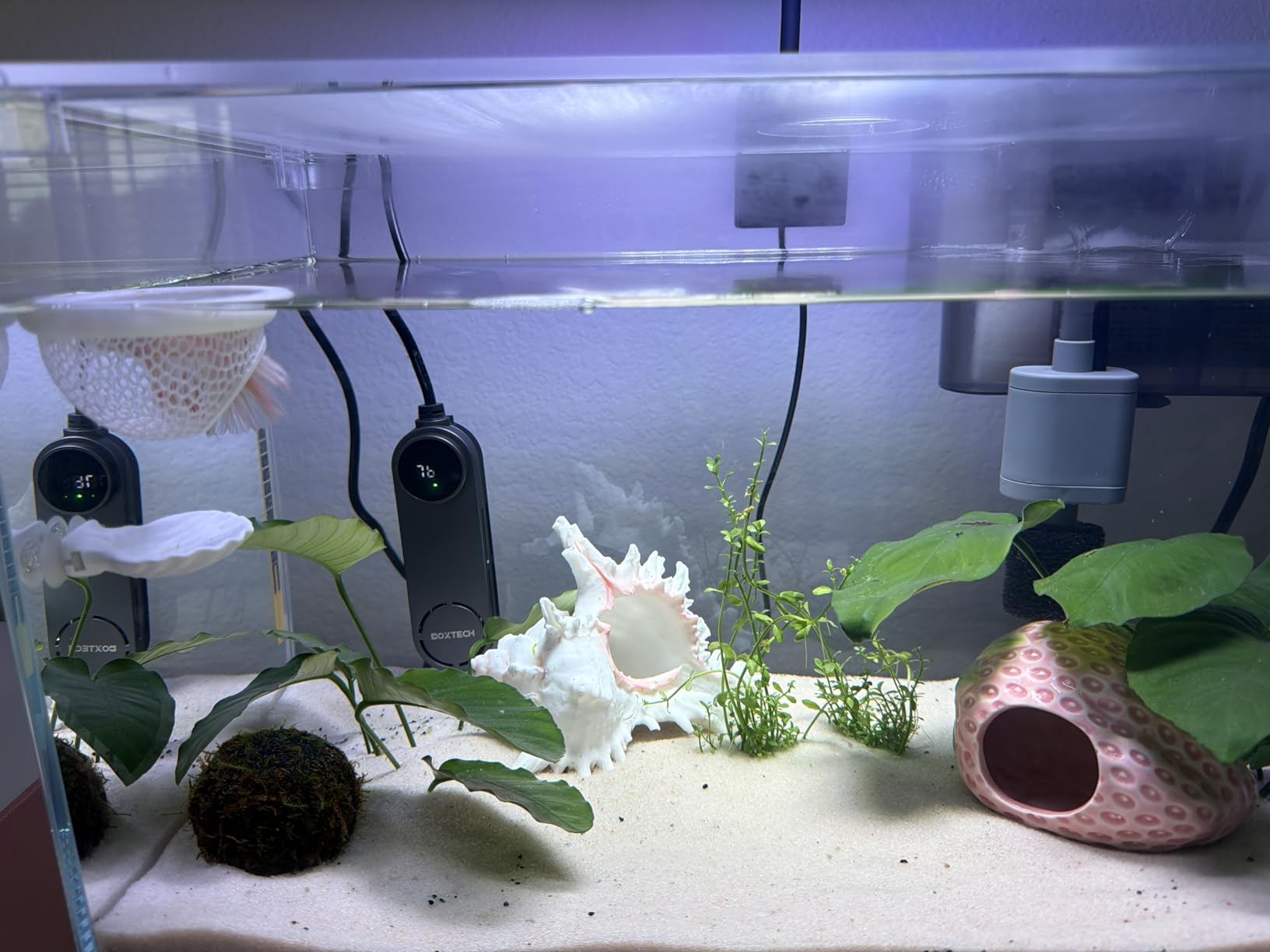 Vimvins 3 Gallon Glass Small Fish Tank, Betta Fish Tank Starter Kit with Filter, Lights,Lid. customer photo 1