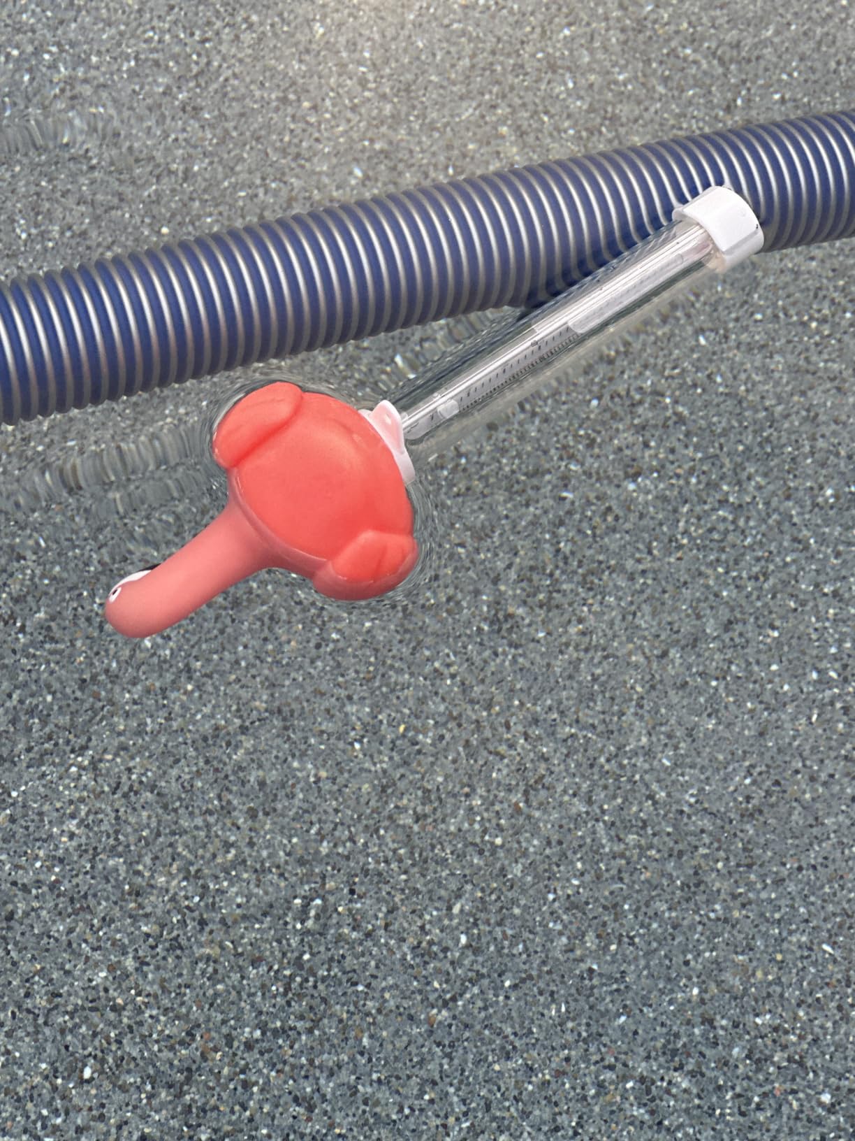 XY-WQ Flamingo Floating Pool Thermometer with String, Easy-Read customer photo 2