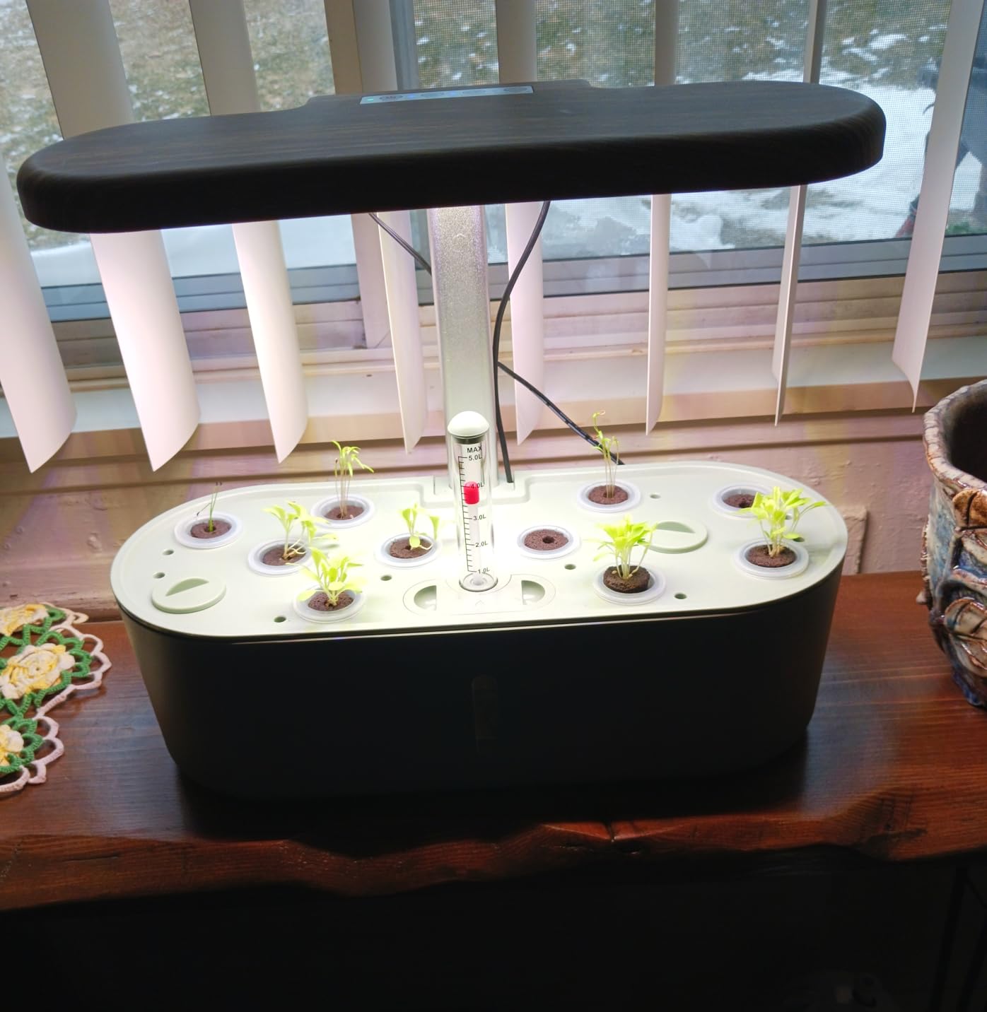 Hydroponics Growing System Indoor Garden: 12 Pods Hydroponic Planter customer photo 1