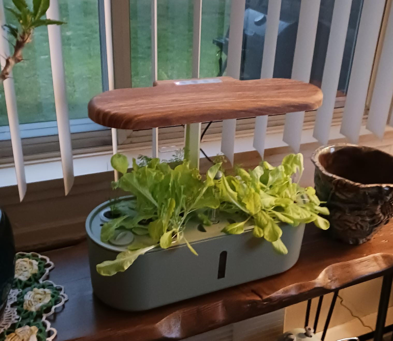 Hydroponics Growing System Indoor Garden: 12 Pods Hydroponic Planter customer photo 2
