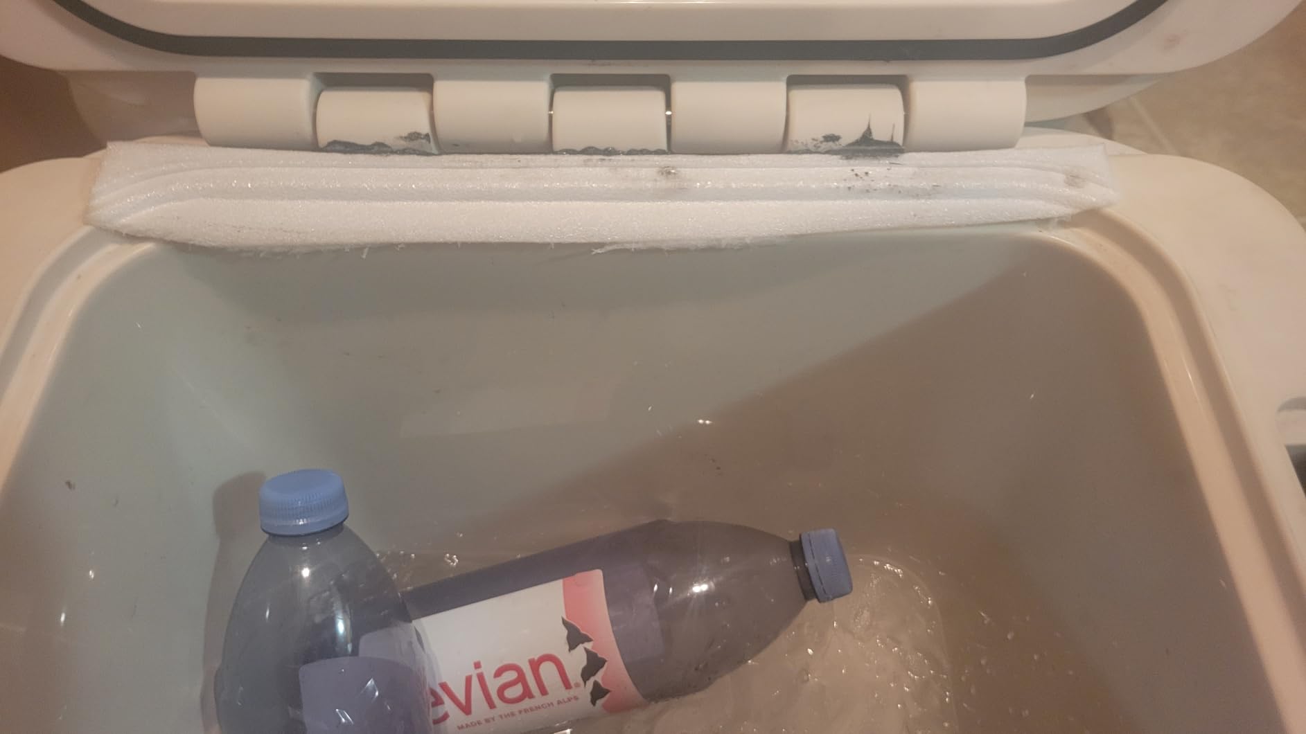 Coleman 45-Quart Pro Cooler, 74-Can Capacity, 4 Days Cold customer photo 1