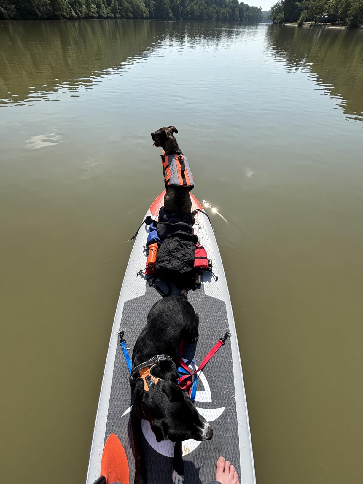 SereneLife 10’6” Inflatable Stand Up Paddle Board with Premium SUP Accessories - 32” Wide Stable Design with Non-Slip EVA Deck Pad, for Youth and Adults, 350 lbs. Capacity customer photo 1