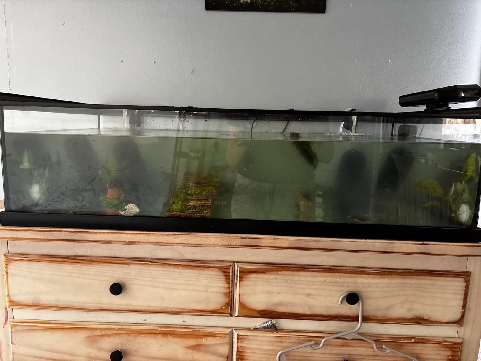 AQUASMITH Aquarium Chiller Fan,Fish Tank Cooler with Temperature Control,Minimum Setting 59℉,Auto Start/Stop,Refrigeration Effect 3-7℉,3-Speed Modes,for Axolotl Seawater Freshwater Coral Grass Tank customer photo 2