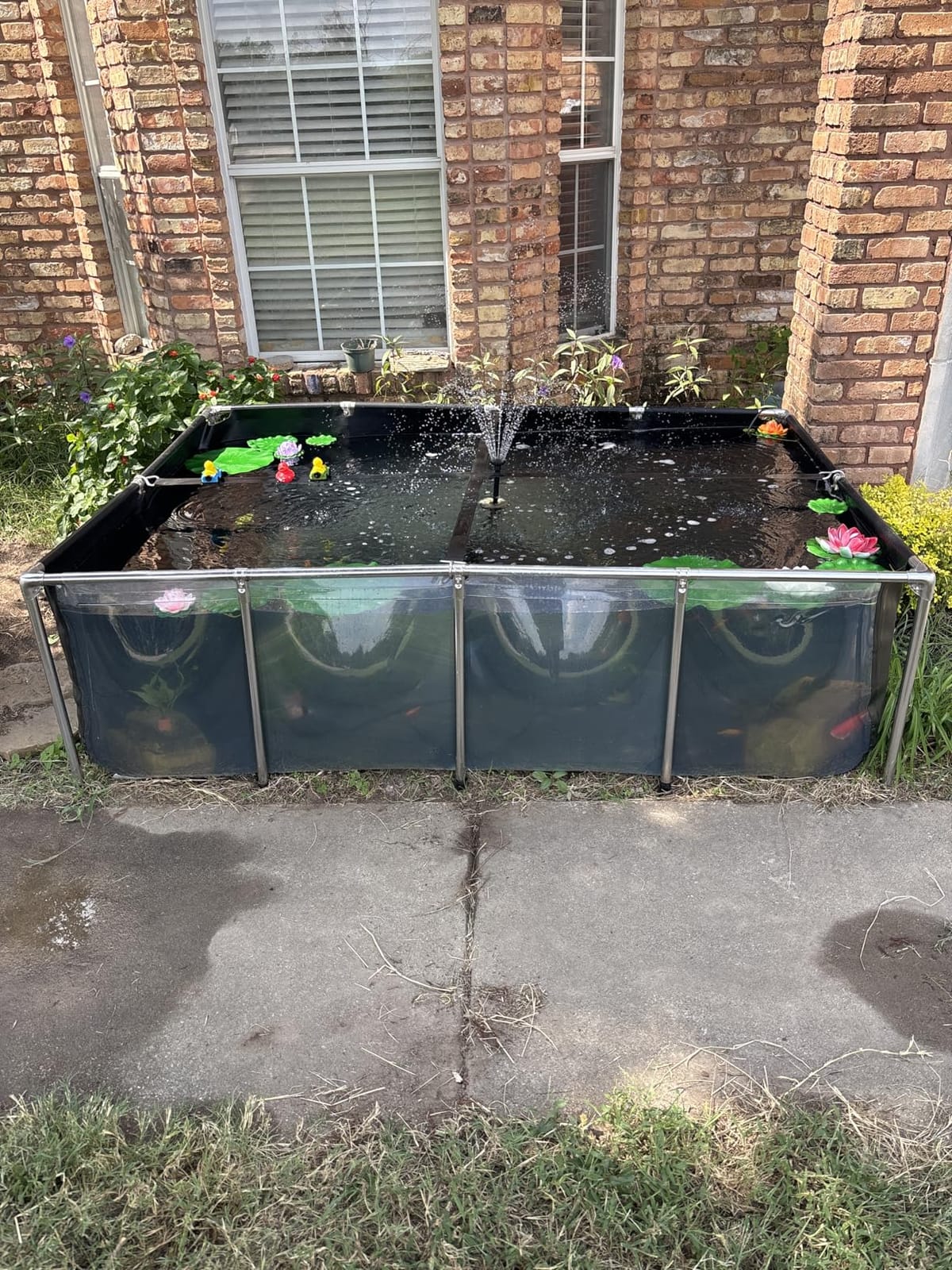 Aquarium Pool Pond,Collapsible Fish Ponds for Outside with Transparent Clear Viewing Panel,470 Gallon Fish Tank,PVC Canvas Above Ground Pond,Indoor/Outdoor Pond for Koi,Goldfish,with Drain Valve customer photo 1