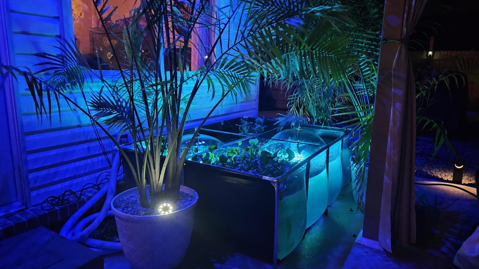 Aquarium Pool Pond,Collapsible Fish Ponds for Outside with Transparent Clear Viewing Panel,470 Gallon Fish Tank,PVC Canvas Above Ground Pond,Indoor/Outdoor Pond for Koi,Goldfish,with Drain Valve customer photo 2