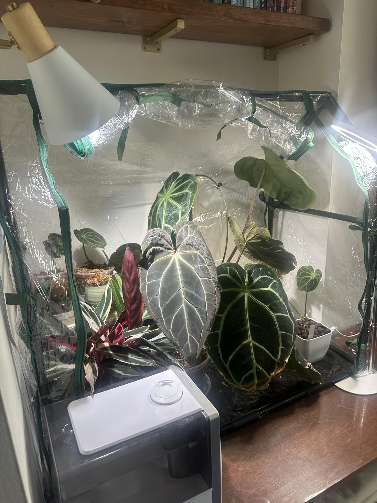 Gardzen Mini Greenhouse 71.7