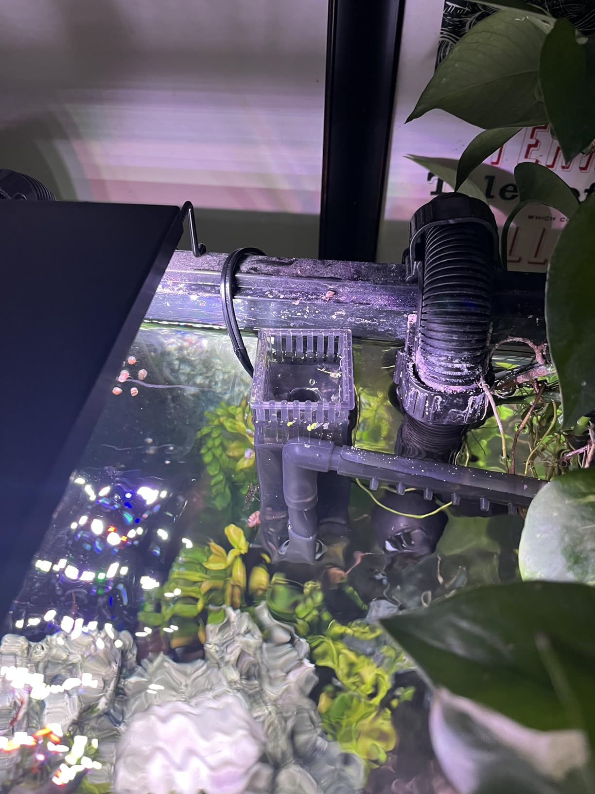 Aquarium Surface Skimmer up to 50 Gallon Aquariums, 132GPH Flow Skimmer with Dual Outlet & Wave Maker Function, 6W customer photo 2