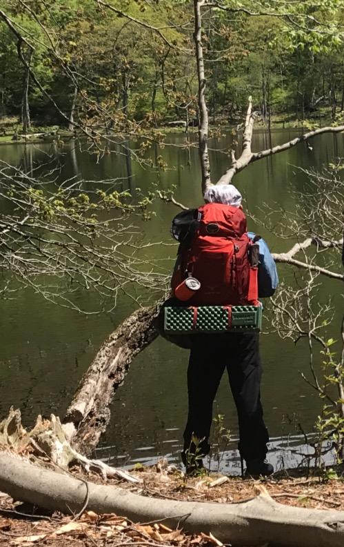 Osprey Kestrel 48L Men's Backpacking Backpack, Green L-XL customer photo 1