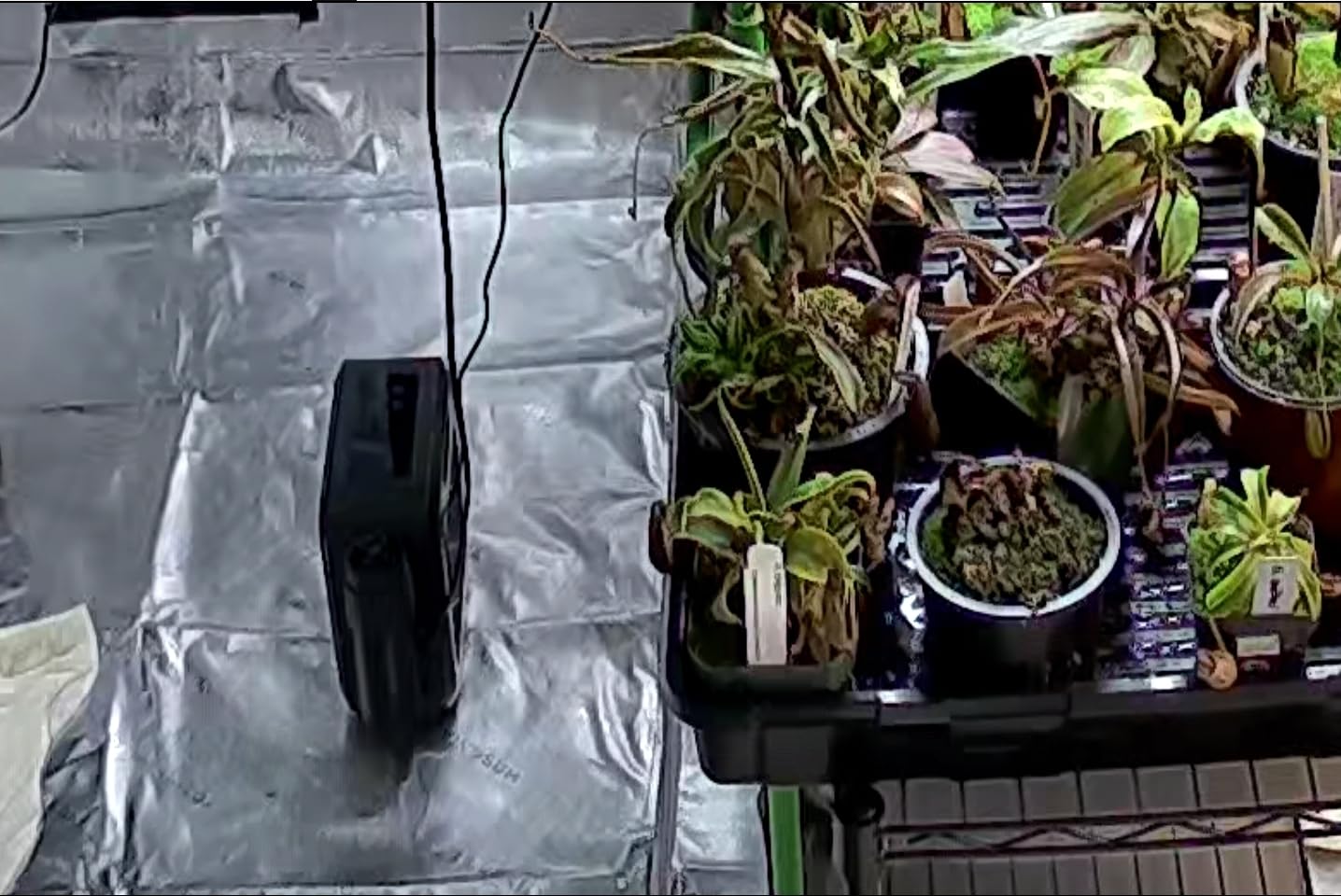 VIVOSUN AeroFlux 700W PTC Grow Tent Heater with Thermostat, APP & VPD customer photo 2