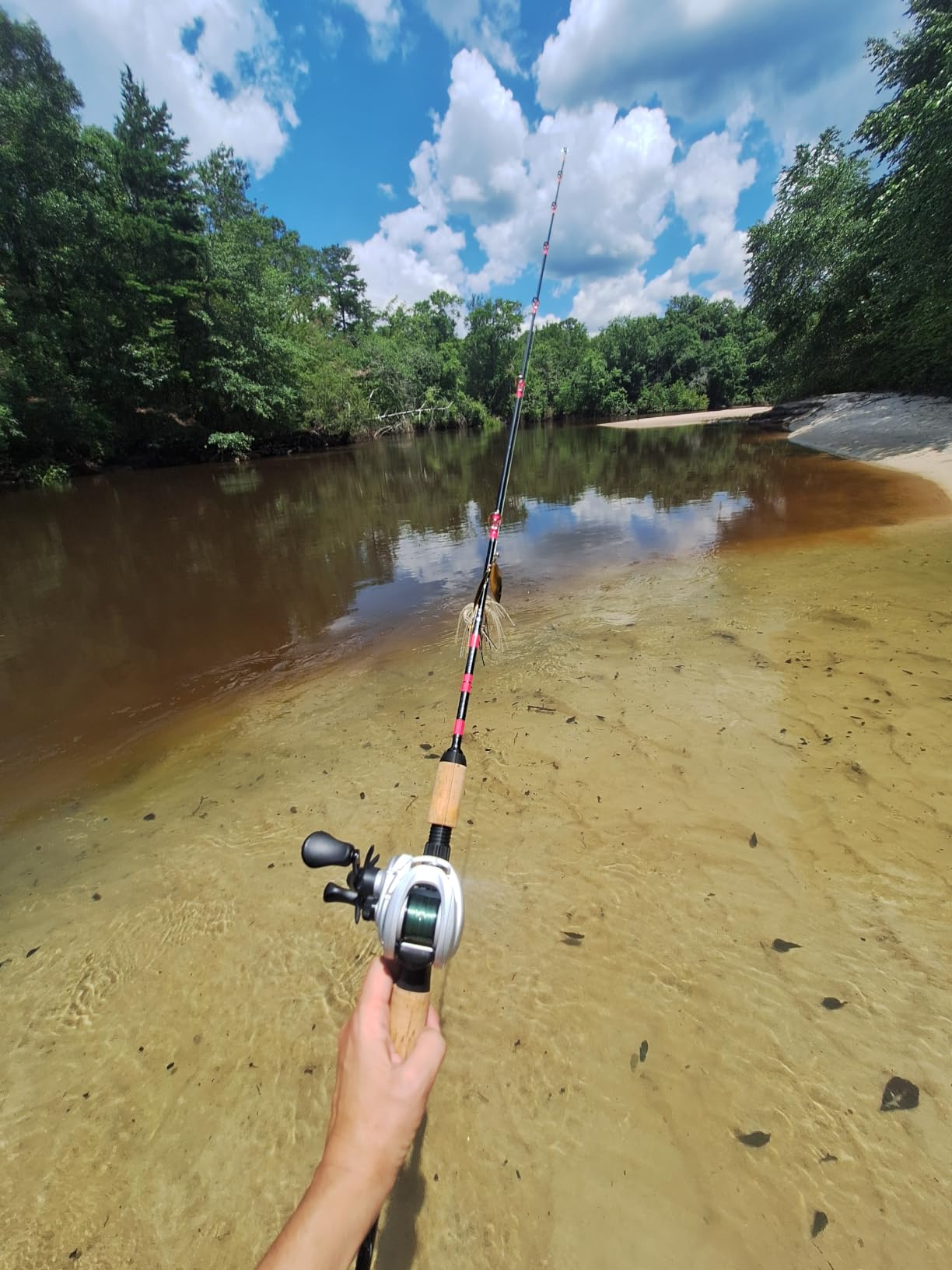 Lew’s Accel Baitcast Fishing Reel, LH Retrieve, 7.5:1 Gear Ratio, 4+1 Bearings (Clam Packaging) customer photo 1