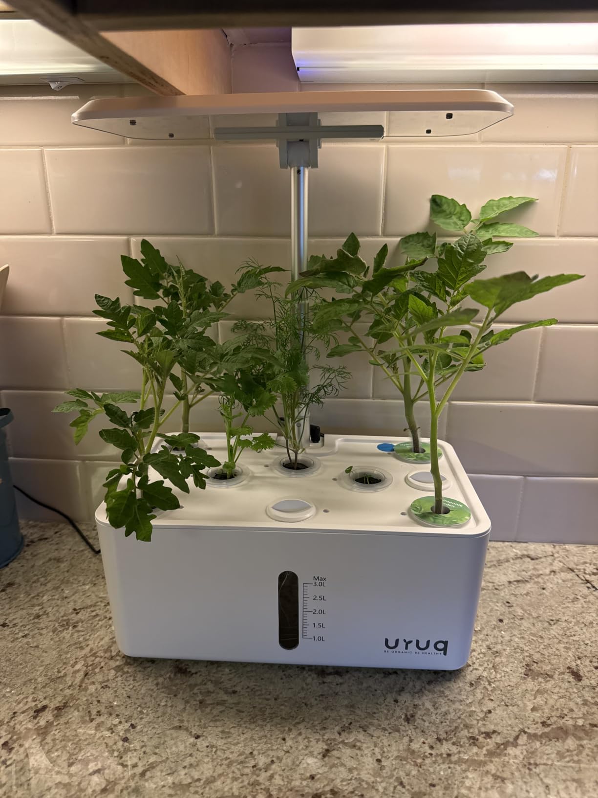 URUQ 8 Pods Hydroponics Growing System with LED Grow Light - Black | Quiet Water Pump, Automatic Timer, Adjustable Height for Fresh Herbs, Vegetables, Indoor Kitchen Gardening Gifts for Women customer photo 1