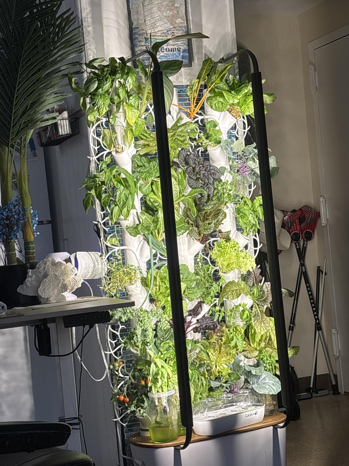 Gardyn Home 4 Vertical Hydroponics Growing System Kit - 30 Plants customer photo 2