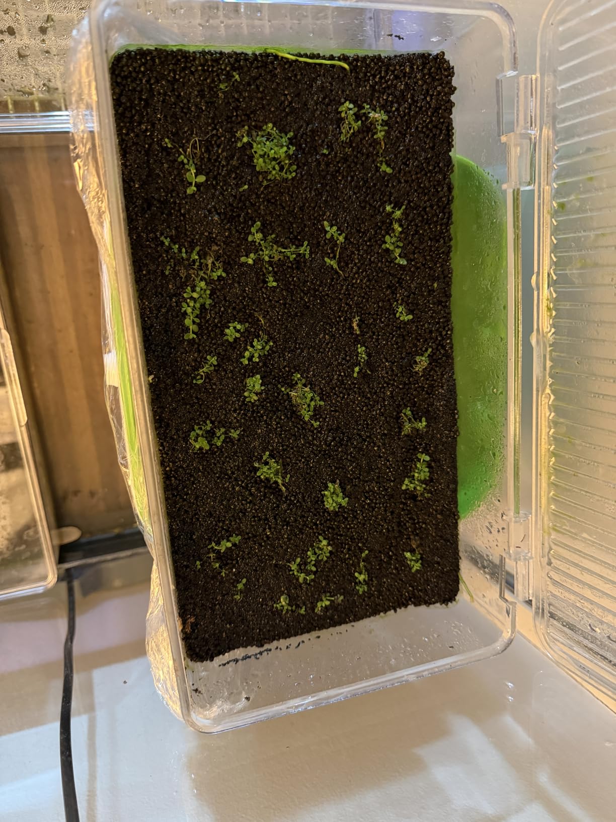 FZONE Aquarium Soil for Planted Tanks,No Rinsing Aquarium Substrate 8L/18lb customer photo 2