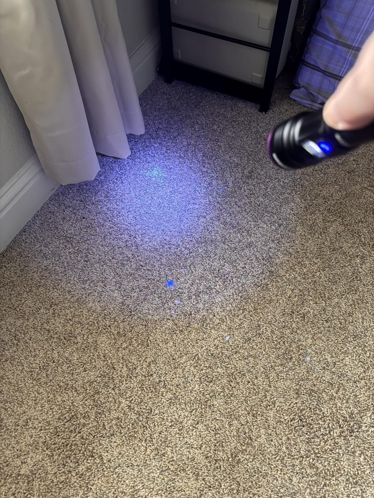 365nm UV Light Flashlight Rechargeable Black Light for Pet Urine Detection customer photo 2