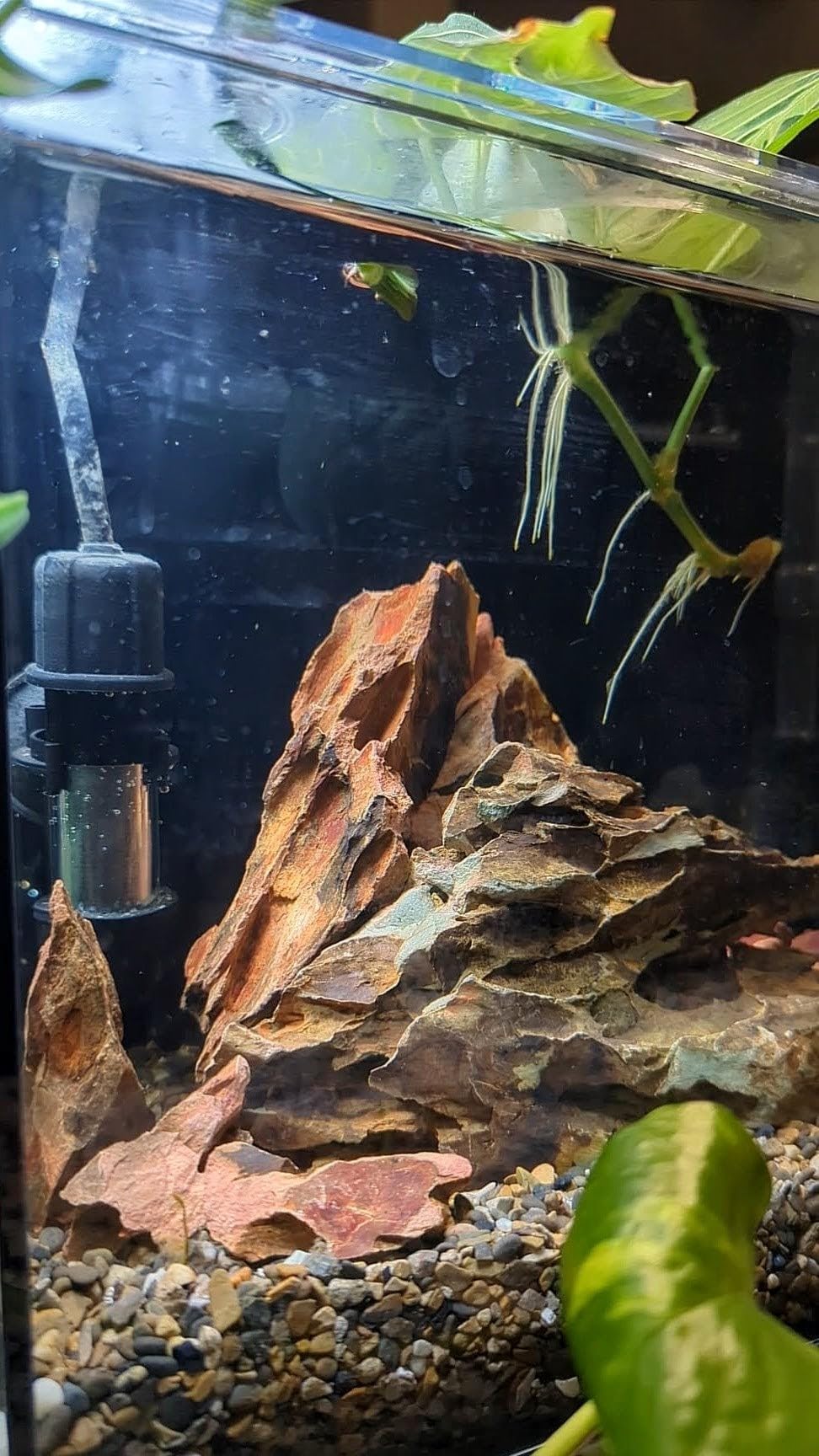 6.1-8.1 Inches Natural Dragon Stone, 6 PCS Large Aquarium Rocks for Aquascaping, Terrariums, Reptile Tanks & Aquarium Décor customer photo 1