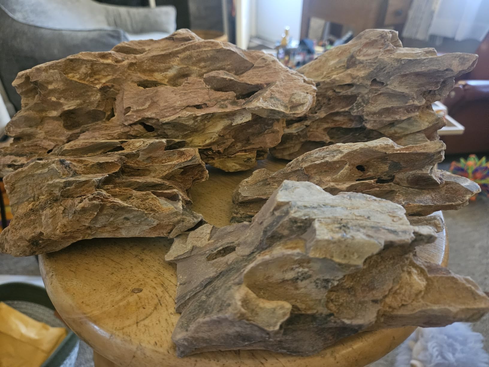 6.1-8.1 Inches Natural Dragon Stone, 6 PCS Large Aquarium Rocks for Aquascaping, Terrariums, Reptile Tanks & Aquarium Décor customer photo 2