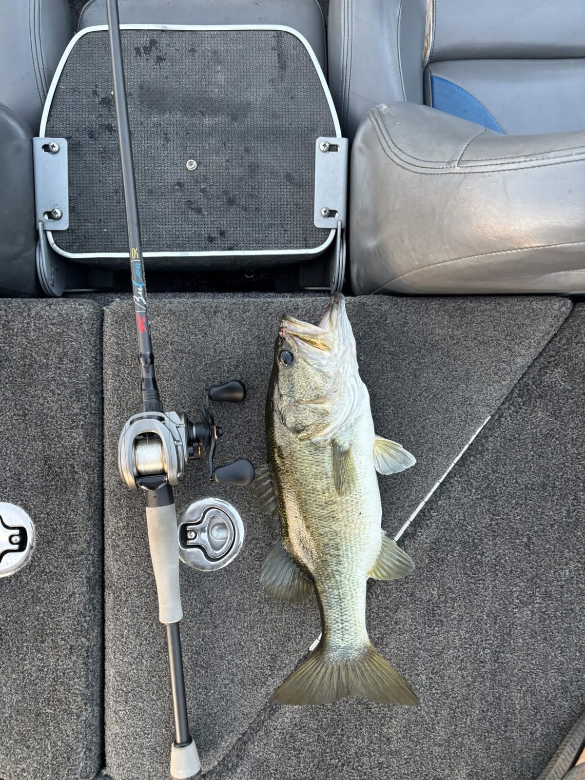 Lew's Accel RX Baitcast Fishing Reel customer photo 2