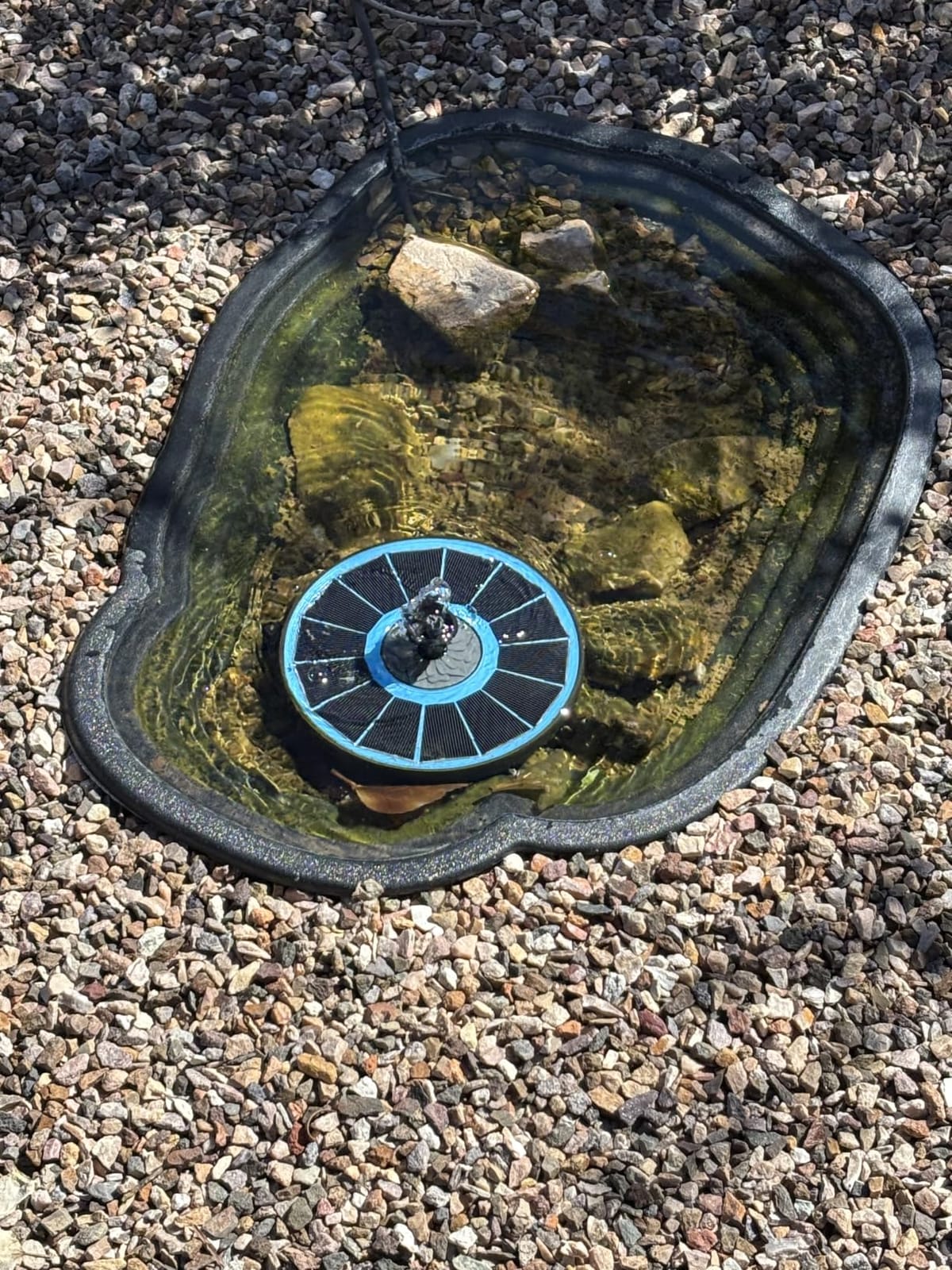 Yzert Solar Fountain for Bird Bath Direct Sunlight High Efficiency 3.5W Glass Panel Solar Water Fountain Outdoor Garden Flower (Black) customer photo 1