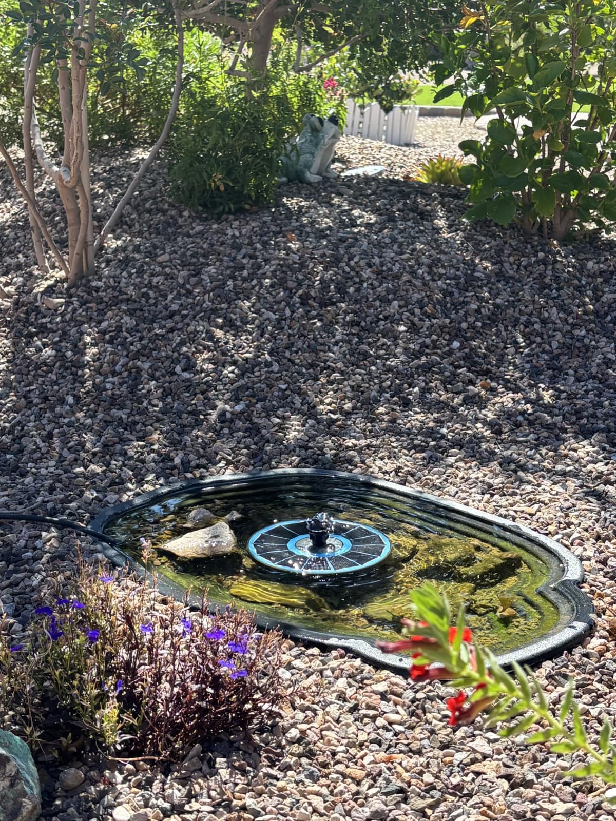 Yzert Solar Fountain for Bird Bath Direct Sunlight High Efficiency 3.5W Glass Panel Solar Water Fountain Outdoor Garden Flower (Black) customer photo 2