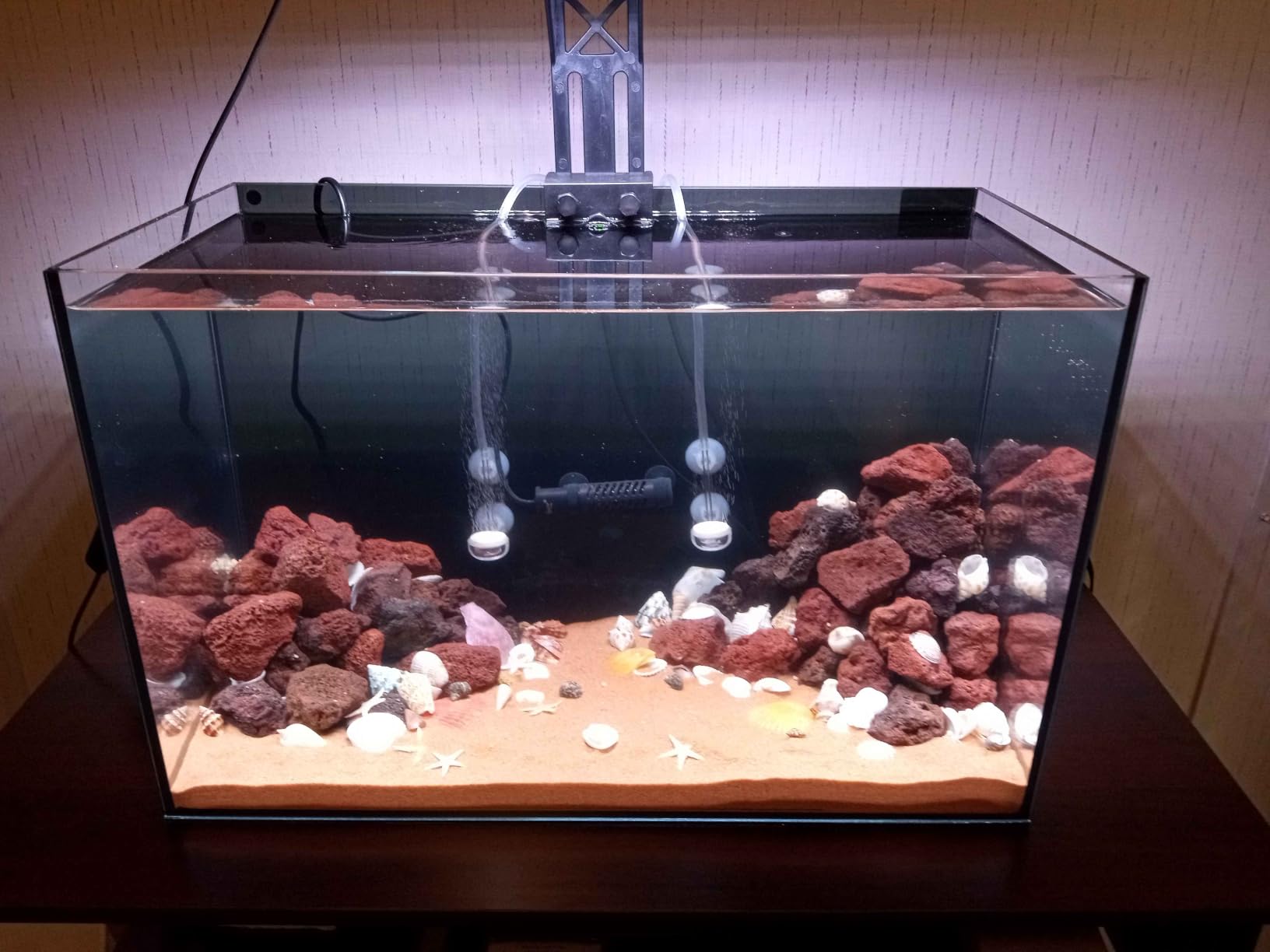 10 Gallon Glass Fish Tank Open-Back Lid, Aquarium Fish Bowl Cube for Betta Goldfish Snails Shrimp Aquatic Planting, Ultra Clear Rimless Low Iron customer photo 2
