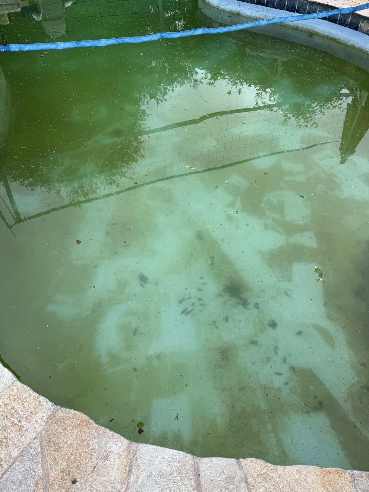 [2026 Release] Automatic Robotic Pool Vacuum for Inground & Above Ground Pools, Wall Climbing Pool Vacuum Cleaner, Cleans Floor, Walls, Waterline, Drain & Skimmer up to 2150 Sq. Ft., 190 Min customer photo 1