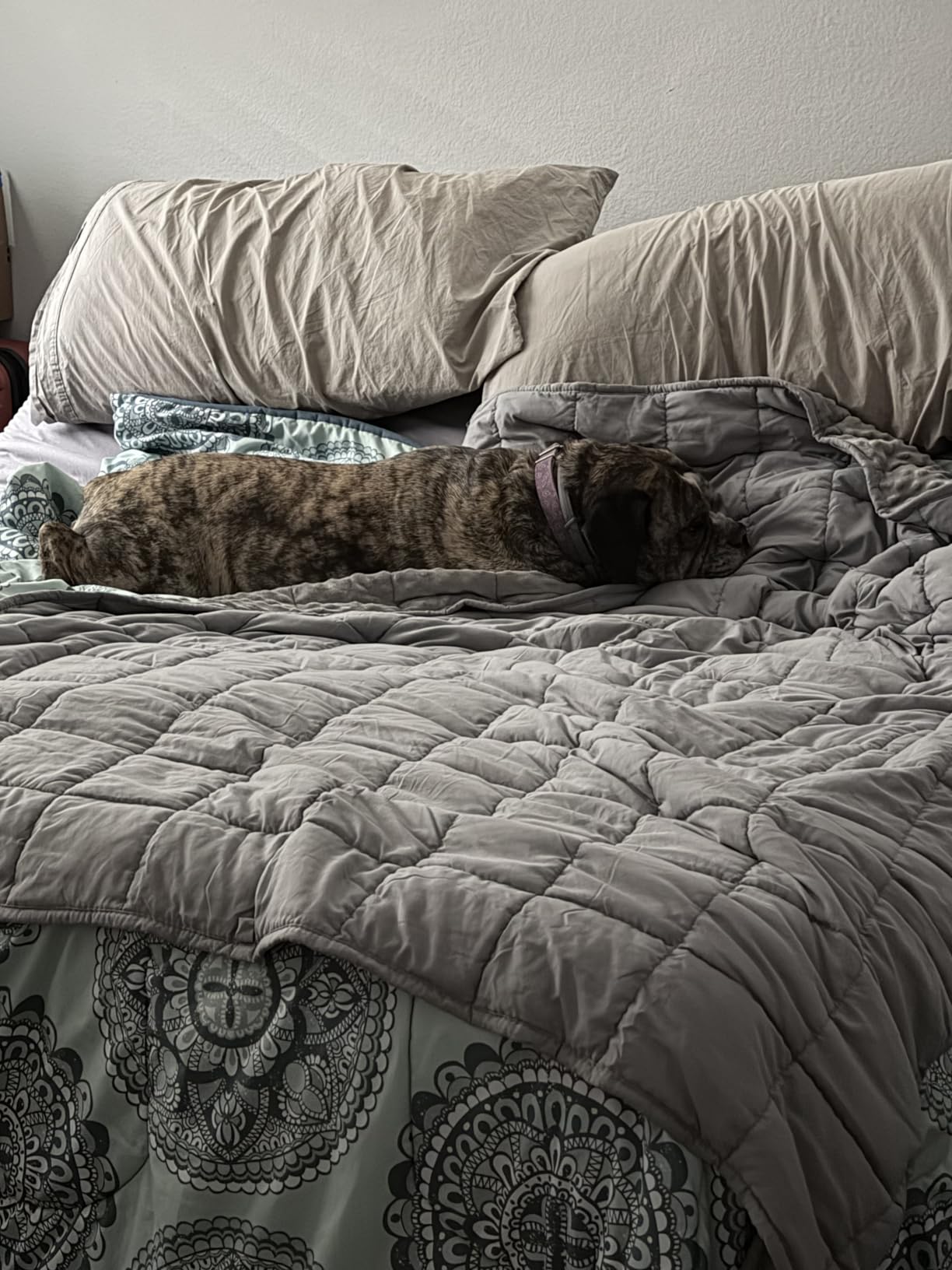 Mr. Sandman Weighted Blanket for Adults, King Size 30 lbs, 88 x 104 Inches customer photo 2