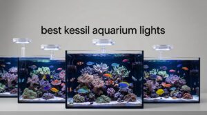 best kessil aquarium lights