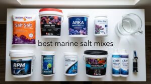 best marine salt mixes