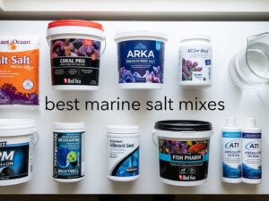 best marine salt mixes