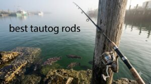 best tautog rods
