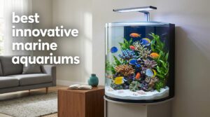 best innovative marine aquariums