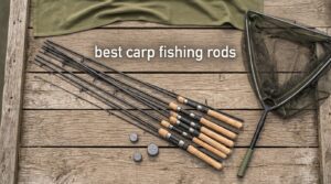 best carp fishing rods