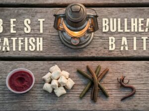 best bullhead catfish bait