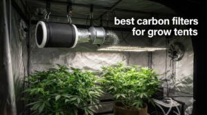 best carbon filters for grow tents
