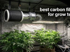 best carbon filters for grow tents