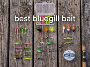 best bluegill bait