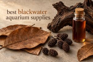 best blackwater aquarium supplies