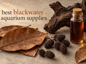 best blackwater aquarium supplies