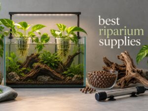 best riparium supplies