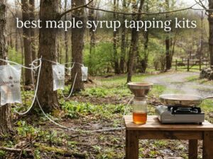 best maple syrup tapping kits