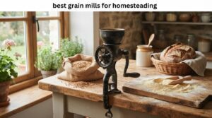 best grain mills for homesteading