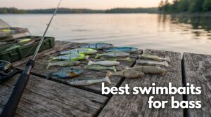 best swimbaits for bass