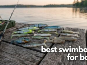 best swimbaits for bass