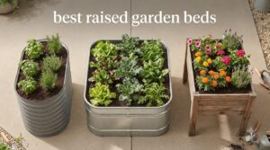 best raised garden beds