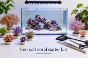 best soft coral starter kits