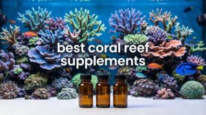 best coral reef supplements