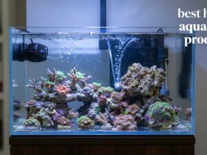 best hydor aquarium products