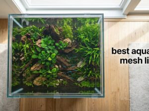 best aquarium mesh lids